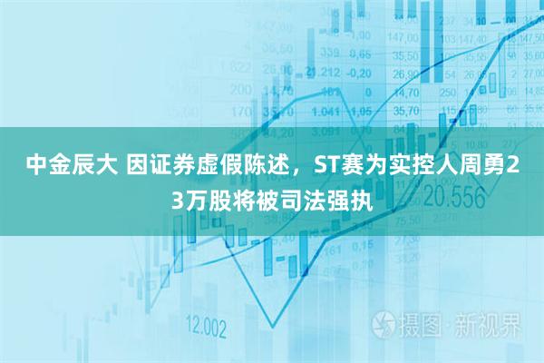 中金辰大 因证券虚假陈述，ST赛为实控人周勇23万股将被司法强执