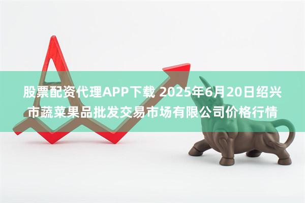 股票配资代理APP下载 2025年6月20日绍兴市蔬菜果品批发交易市场有限公司价格行情
